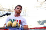 Gants No Boxing No Life