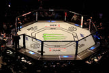 Cage MMA (avec sidewalk rétroéclairé et TV)