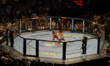 Cage MMA compétition avec sidewalk