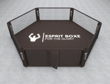 Cage MMA hexagonale (au sol)