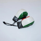 Mini gants de boxe pour rétroviseur aux couleurs de l'Italie