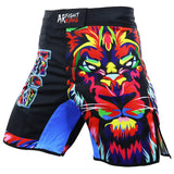 Short boxe LION (Multicolor) - face avant