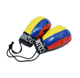 Mini gants de boxe pour rétroviseur aux couleurs de la Colombie