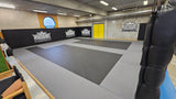 Protections murales de la salle d'entraînement du Muscadians MMA