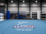 Ring de boxe de compétition officiel pour la Fédération Française de SAVATE boxe française - VUE DEPUIS LE RING