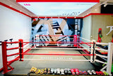 Ring de boxe au sol fixe pour club, poteaux d'angle ancrés au sol