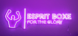 Néon boxe RGB allumé en violet