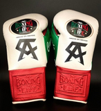 Gants de boxe à l'effigie de Canelo Álvarez, embossage No Boxing No Life et Hecho en Mexico