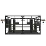 Ring de boxe multifonction, avec installations spécifiques