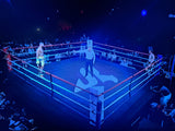 Bâche de ring pour le combat de Leonardo Mosquea pour la WBA