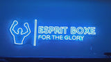 Néon RGB Esprit Boxe - vidéo de présentation