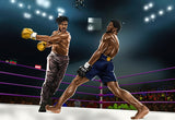 Tableau Black Panther contre Killmonger sur un ring de boxe, detail de l'impression