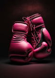 Tableau paire de gants de boxe roses posee sur fond bordeaux, affiche dans un salon