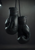 Tableau paire de gants de boxe noirs suspendue a des chaines metalliques, vue rapprochee de la toile