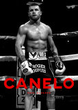 Tableau Canelo Alvarez en noir et blanc avec nom en capitales rouges, affiche dans un salon