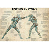 Tableau anatomie du boxeur, deux ecorches annotes en pleine frappe, toile seule, sans cadre