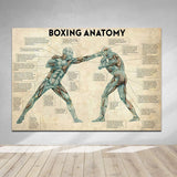 Tableau anatomie du boxeur, deux ecorches annotes en pleine frappe