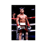 Tableau Canelo Alvarez debout dans un coin de ring, affiche dans un salon